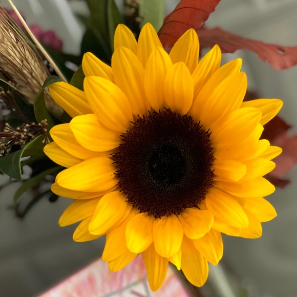 Meet your Posher, Olivia - Picture 1 of 1